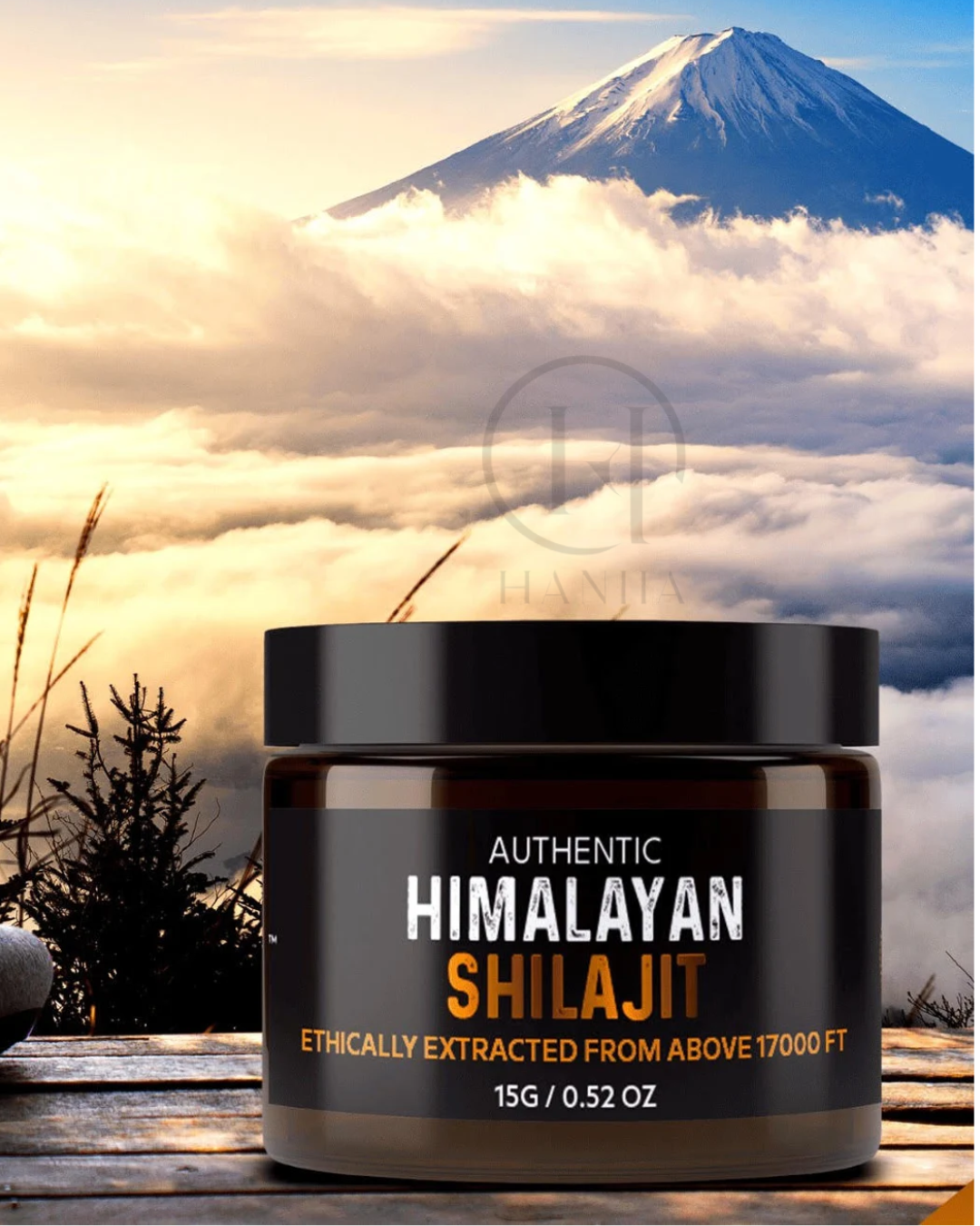 Himalayan Gold Shilajit™